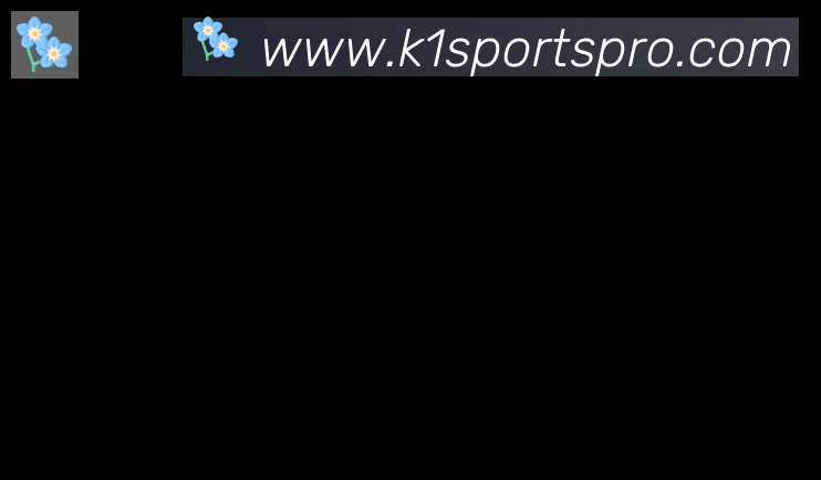 K1体育合作伙伴